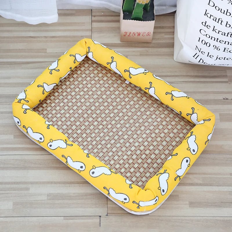 The Coolest and MOST Comfortable Cat Bed in Summer